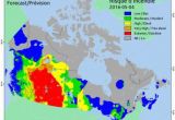 Canada forest Fire Map fort Mcmurray Wildfire why the Fire Engulfed the City within Hours