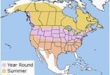 Canada Geese Migration Map Canadian Geese Migration