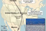 Canada Goose Migration Map Canadian Geese Migration
