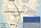 Canada Goose Migration Map Canadian Geese Migration