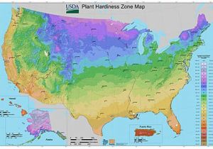Canada Hardiness Zone Map Usda Plant Hardiness Zone Maps