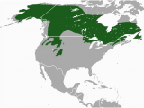 Canada Lynx Range Map Datoteka Canada Lynx area Png Wikipedija