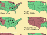 Canada Lynx Range Map Us towns with Animals In their Names Compared to the