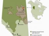 Canada Tar Sands Map Distribution Of Oil Sands Deposits In Alberta and Location