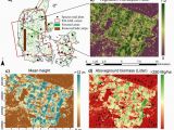 Canada Vegetation Map A forested areas In Denmark Map Provided by