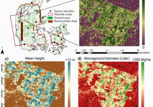 Canada Vegetation Map A forested areas In Denmark Map Provided by