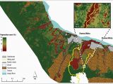 Canada Vegetation Map Estimating Vegetation Cover From High Resolution Satellite