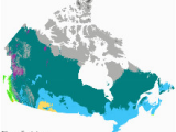 Canada Vegetation Map Kanada Wikipedia