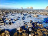 Cape Meares oregon Map top 10 Things to Do Near Cape Meares Lighthouse and Wildlife Refuge