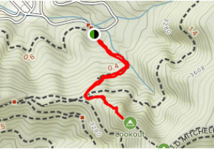 Carolina north forest Trail Map Lookout Trail north Carolina Alltrails