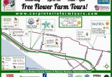 Carpinteria California Map Carpinteria Greenhouse Nursery tour Map Patio Furniture