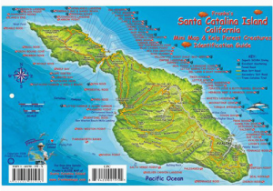 Catalina island California Map Franko Maps Santa Catalina island Fish Id Card