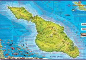 Catalina island California Map Santa Catalina island California Adventure Dive Guide Franko Maps