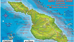 Catalina island Map California Franko Maps Santa Catalina island Fish Id Card