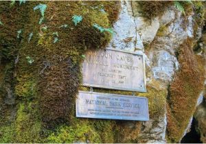 Cave Junction oregon Map Sign Marking the Entrance to the oregon Cave Picture Of oregon