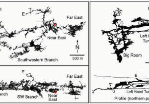 Caves In Colorado Map Maps and Profiles Of Carlsbad Cavern and Lechuguilla Cave Courtesy