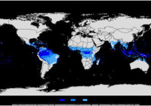 Climate Map France Tropical Rainforest Climate Revolvy