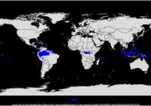 Climate Map Italy Tropical Rainforest Climate Revolvy