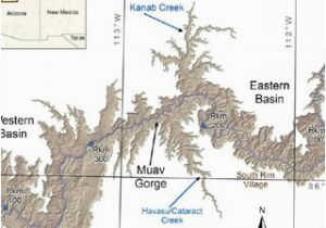 Coal Creek Canyon Colorado Map Pdf the Biogeographic Significance Of A Large Deep Canyon Grand