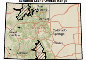 Colorado Division Of Wildlife Maps Colorado Parks Wildlife Species Profiles