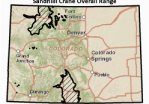 Colorado Elk Migration Map Colorado Parks Wildlife Species Profiles