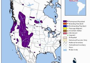Colorado Elk Migration Map Elk Montana Field Guide