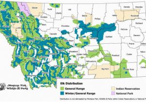 Colorado Elk Migration Map Elk Montana Field Guide