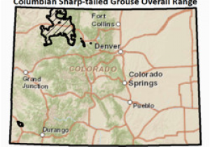 Colorado Elk Population Density Map Colorado Parks Wildlife Species Profiles