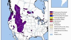 Colorado Elk Population Density Map Elk Montana Field Guide