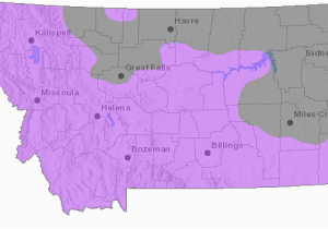 Colorado Elk Population Density Map Elk Montana Field Guide