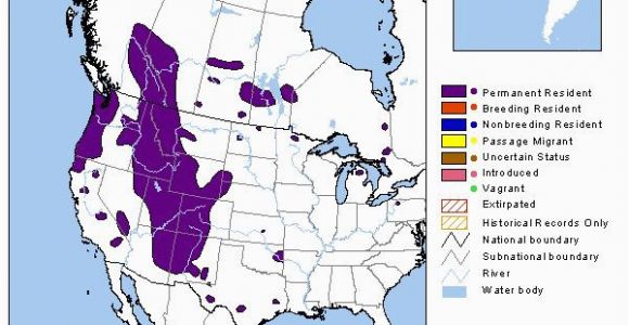 Colorado Elk Population Density Map Elk Montana Field Guide