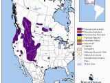 Colorado Elk Population Map Elk Montana Field Guide