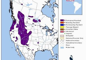 Colorado Elk Population Map Elk Montana Field Guide