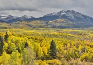 Colorado Fall Colors Map Best Fall Activities In Colorado