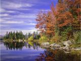 Colorado Fall Colors Map How Weather Affects Fall Colors