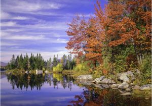 Colorado Fall Colors Map How Weather Affects Fall Colors