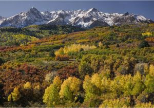 Colorado Fall Colors Map Tips to See Fall Foliage In Colorado