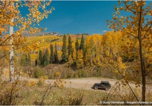 Colorado Foliage Map Kebler Pass Fall Colors Picture Of Kebler Pass Crested butte