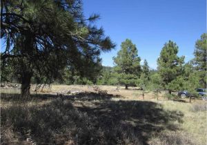 Colorado Land for Sale Map Pagosa Springs Colorado Vacant Land for Sale Coloproperty Com