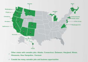Colorado Marijuana Map States with Most Cannabis Jobs Best Cannabis Links Blogs About