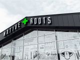 Colorado Marijuana Stores Map the 10 Best Places to Get Marijuana In Colorado