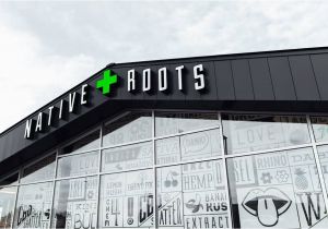 Colorado Marijuana Stores Map the 10 Best Places to Get Marijuana In Colorado