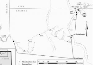 Colorado River Dams Map Map Of the Colorado River Downstream Of Glen Canyon Dam Arizona