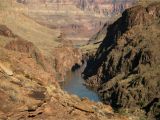 Colorado River Grand Canyon Map Bat at Grand Canyon Tests Positive for Rabies