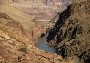 Colorado River Grand Canyon Map Bat at Grand Canyon Tests Positive for Rabies