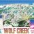 Colorado Ski Resort Maps Wolf Creek Ski Resort Colorado Trail Map Postcard Ski towns