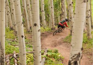 Colorado Springs Bike Trail Map Mtb Project Mountain Bike Trail Maps