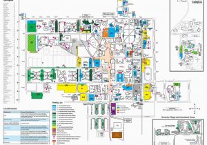 Colorado State Campus Map top Colorado State University Map Galleries Printable Map New