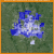 Columbus Ohio Crime Map Columbus Oh Crime Rates and Statistics Neighborhoodscout