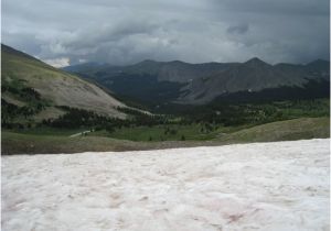 Cottonwood Pass Colorado Map Snow Field Picture Of Cottonwood Pass Colorado Tripadvisor